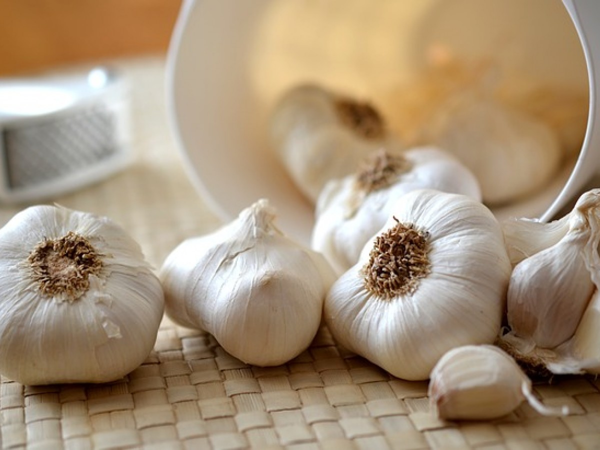 garlic-545223_640-1.jpg