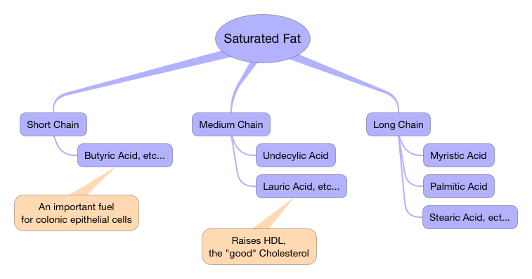 Graph of Saturated Fat Subcategories