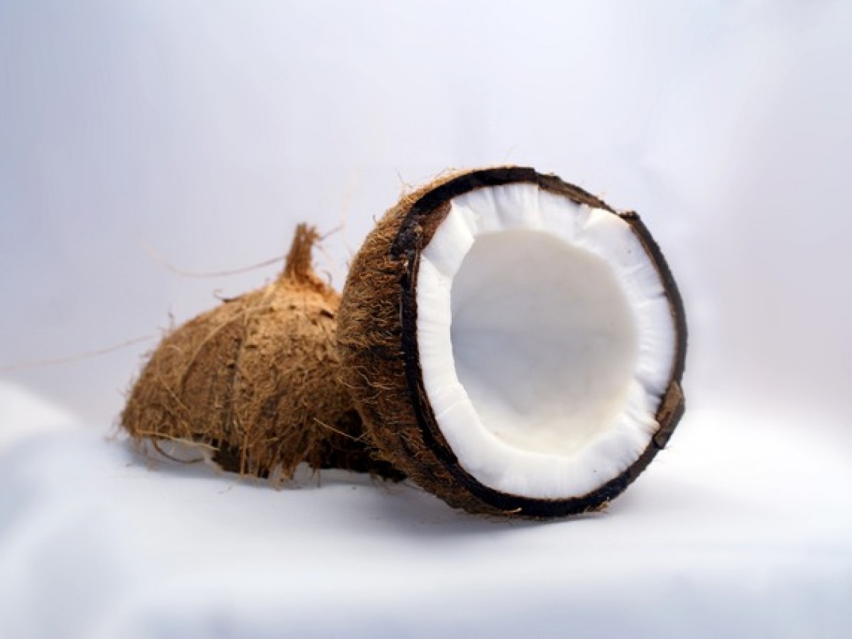 coconut-1125_640.jpg