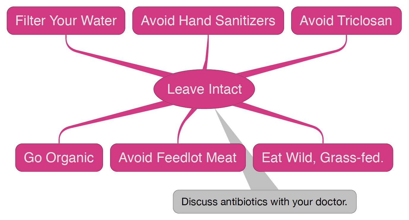 Graph showing strategies to preserve the microbiome