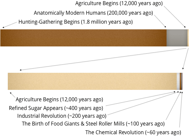 making of the modern diet timeline