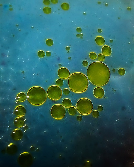 Beautiful image of Extra Virgin Olive oil suspended in water