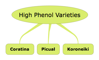 Diagram of high phenol varieties of Extra Virgin Olive Oil