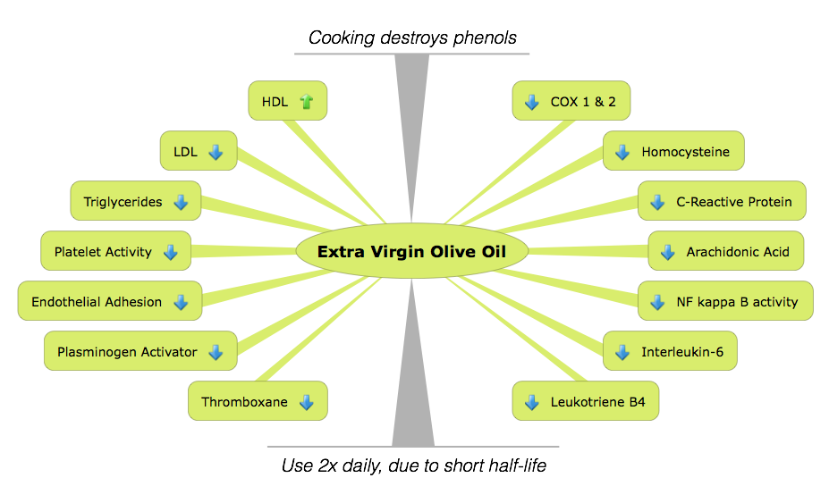 Infographic showing the molecular breakdown of Extra Virgin Olive Oil