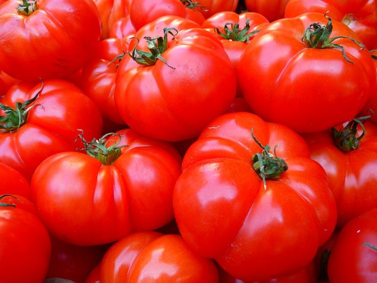tomatoes-5356_640.jpg